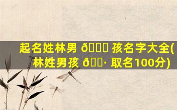 起名姓林男 🐋 孩名字大全(林姓男孩 🕷 取名100分)